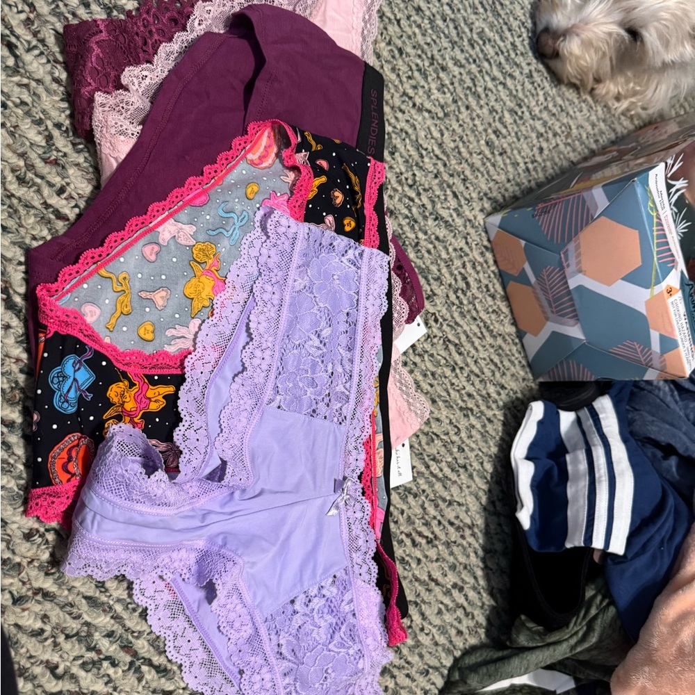 5 pr. Splendies Colorful Lace and Patterned Panties Set